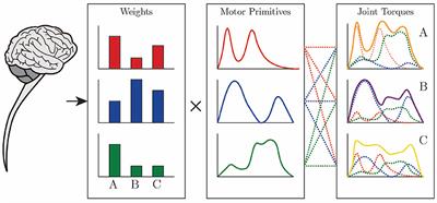 Evaluation of Motor Primitive-Based Adaptive Control for Lower Limb Exoskeletons